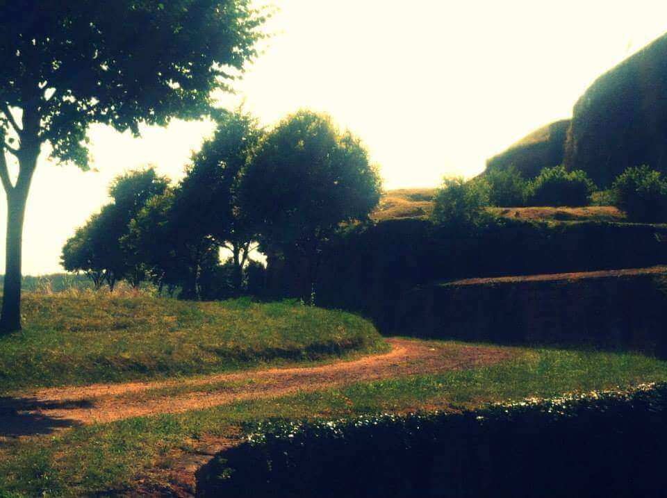 Idyllic "Countryside" Photo Print