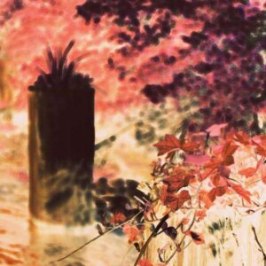 "Shoreside Ivy" Surreal Photo Print