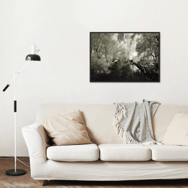 "Still Midnight" Winter Photo Print - Image 2