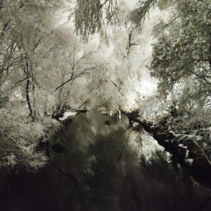 "Still Midnight" Winter Photo Print