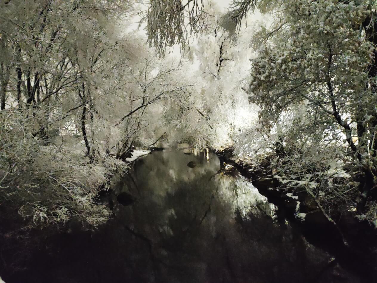 "Still Midnight" Winter Photo Print